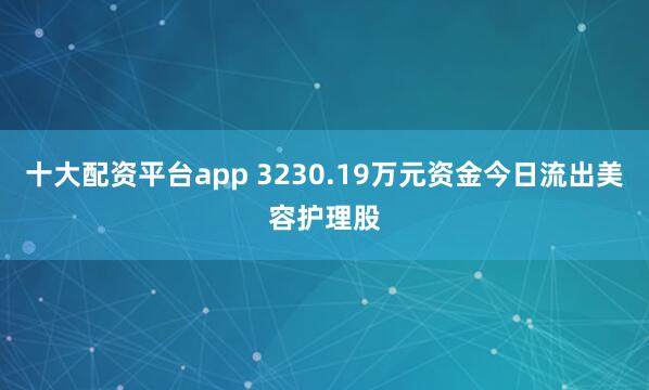 十大配资平台app 3230.19万元资金今日流出美容护理股