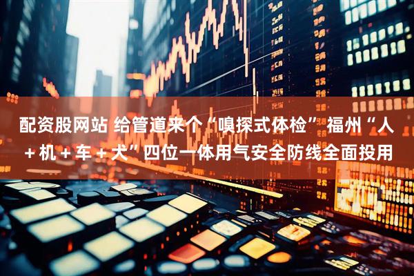 配资股网站 给管道来个“嗅探式体检” 福州“人＋机＋车＋犬”四位一体用气安全防线全面投用