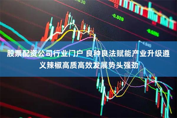 股票配资公司行业门户 良种良法赋能产业升级遵义辣椒高质高效发展势头强劲