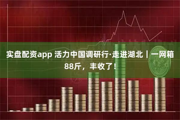 实盘配资app 活力中国调研行·走进湖北｜一网箱88斤，丰收了！